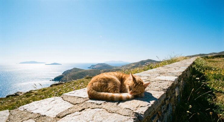 GoogleAIStudioで生成した猫ひし形の可視ウォーターマークなし